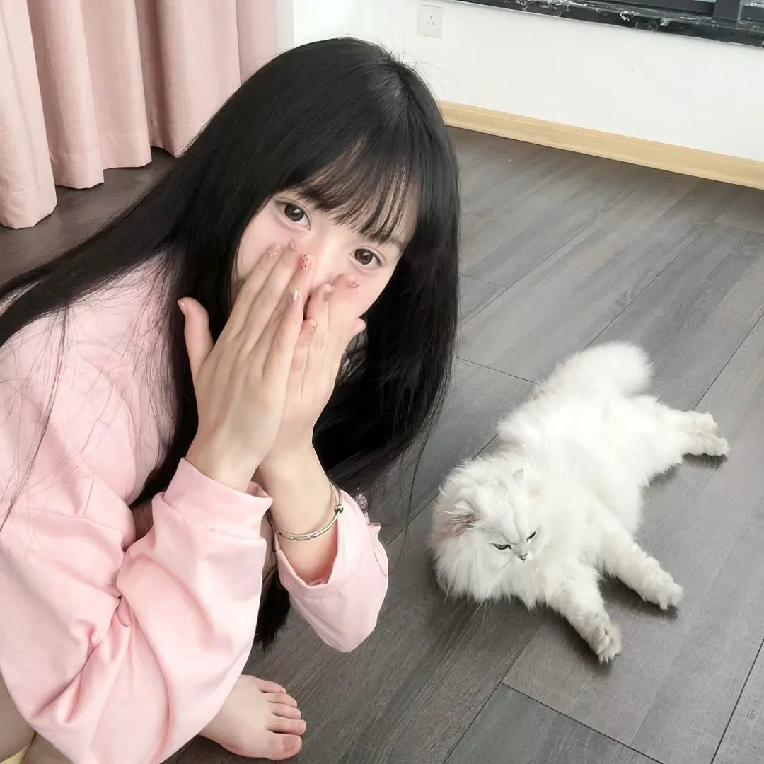 以盗治盗